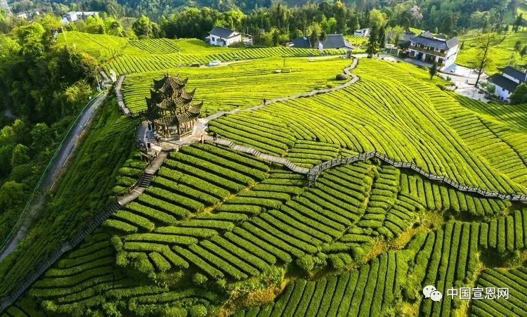 鄂硒商贸恩施富硒产品(恩施富硒农产品)-硒宝网