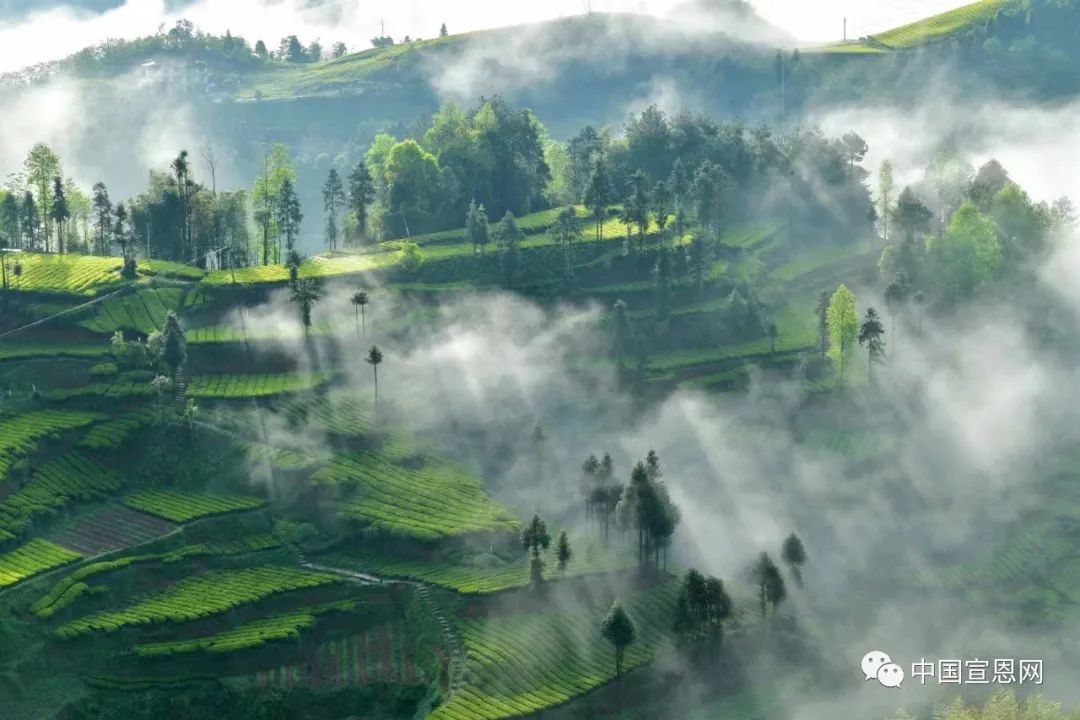 鄂硒商贸恩施富硒产品(恩施富硒农产品)-硒宝网