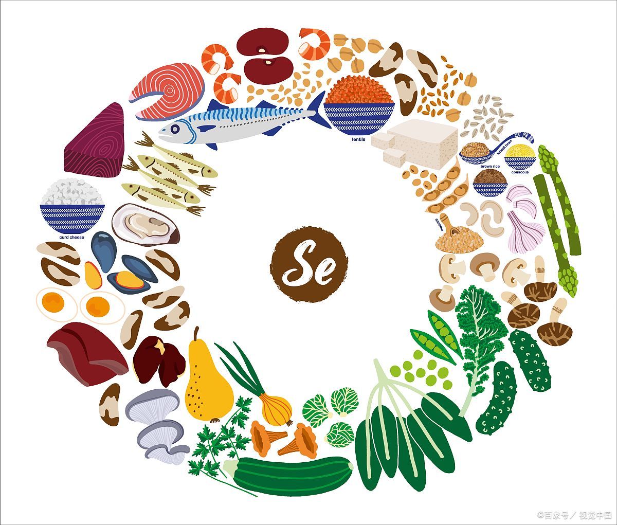 什么是富硒产品硒含量（含硒与富硒标准）-硒宝网