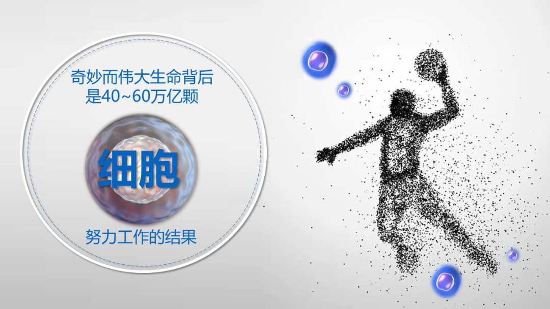 富硒产品没标注硒含量(富硒产品中的硒指的是)-硒宝网