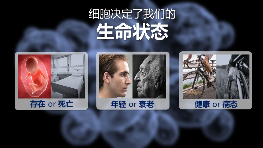 富硒产品没标注硒含量(富硒产品中的硒指的是)-硒宝网