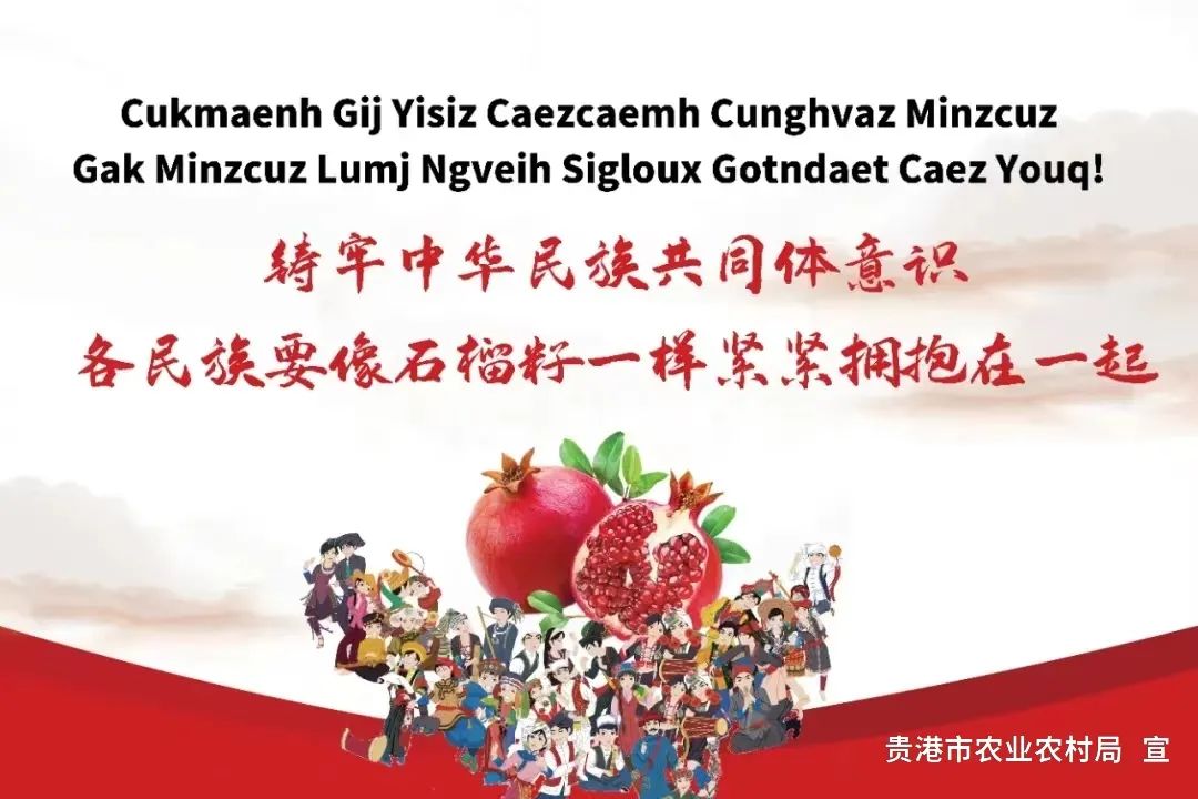 培育富硒产品  贵港（培育贵港富硒产品的意义）-硒宝网