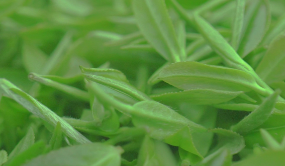 培育富硒产品  贵港（培育贵港富硒产品的意义）-硒宝网