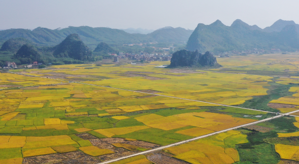 培育富硒产品  贵港（培育贵港富硒产品的意义）-硒宝网