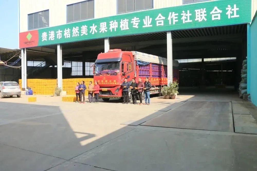 培育富硒产品  贵港（培育贵港富硒产品的方法）-硒宝网