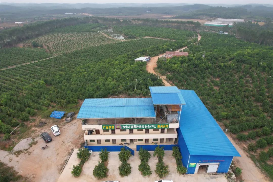 培育富硒产品  贵港（培育贵港富硒产品的方法）-硒宝网