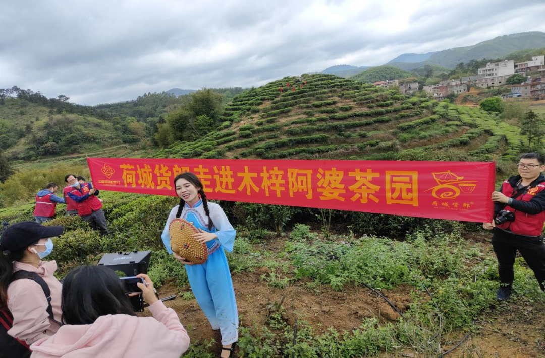 培育富硒产品  贵港（培育贵港富硒产品的方法）-硒宝网