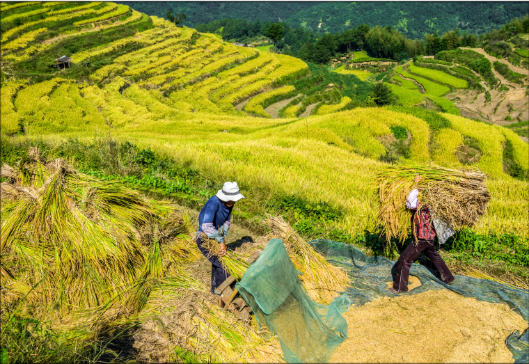 富锌富硒产品怎么认证（认证富硒富锌产品的条件）-硒宝网