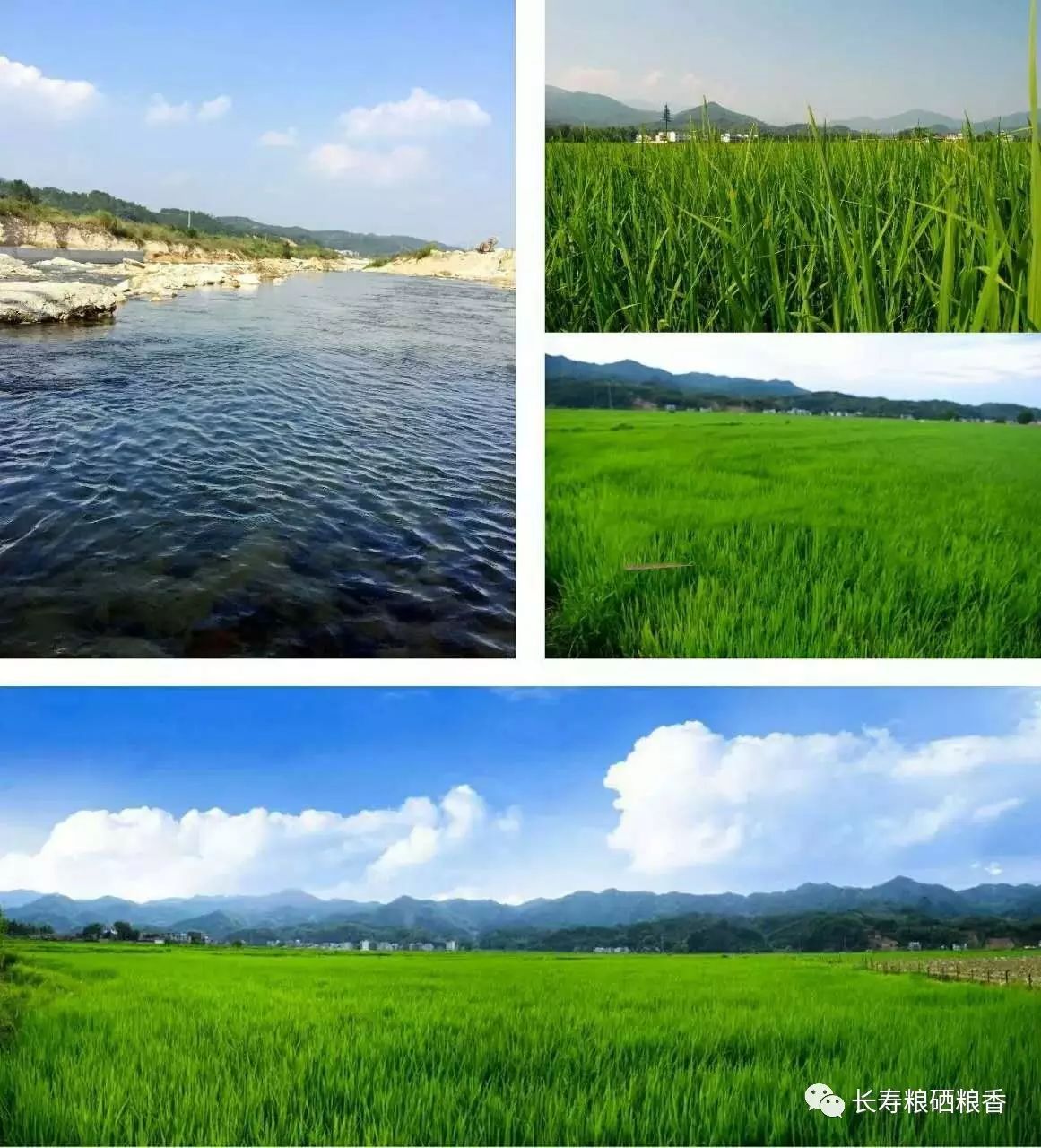 富硒农产品标识硒含量(富硒农产品国家标准)-硒宝网