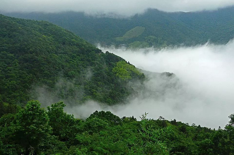 富硒地瓜什么产品好吃(富硒地瓜哪个产地的好)-硒宝网