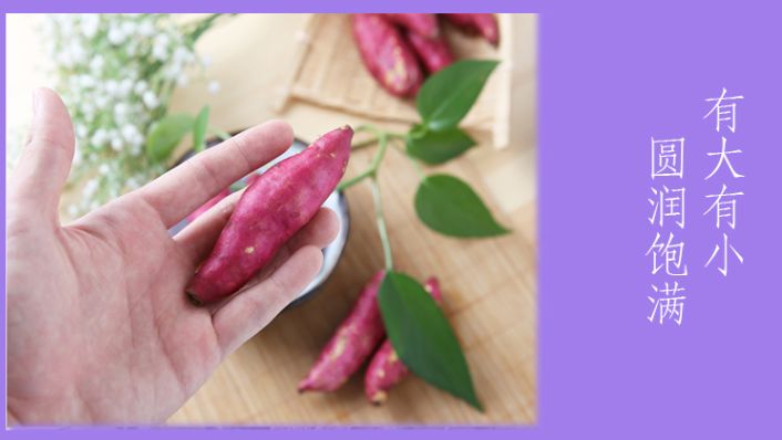 富硒地瓜什么产品好吃(富硒地瓜哪个产地的好)-硒宝网