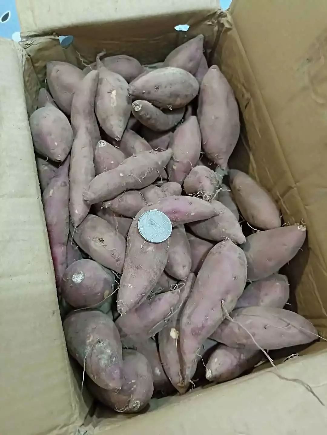 富硒地瓜什么产品好吃(富硒地瓜哪个产地的好)-硒宝网