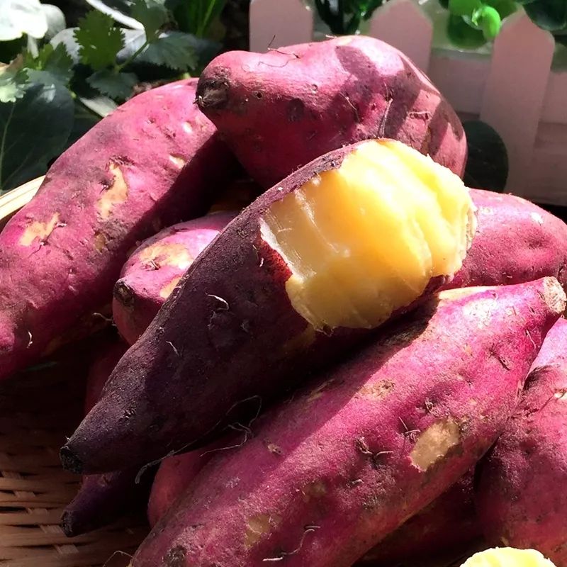 富硒地瓜什么产品好吃(富硒地瓜哪个产地的好)-硒宝网