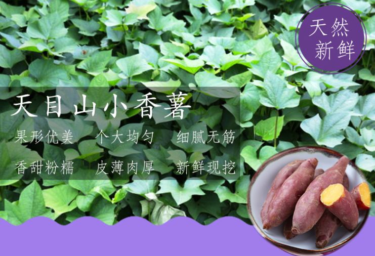 富硒地瓜什么产品好吃(富硒地瓜哪个产地的好)-硒宝网