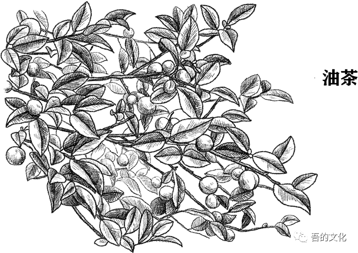 富硒产品协会图标设计(富硒logo设计)-硒宝网