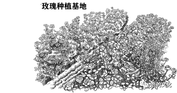 富硒产品协会图标设计(富硒logo设计)-硒宝网