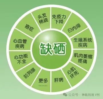 广西富硒产品地方标准(广西富硒产品有哪些)-硒宝网