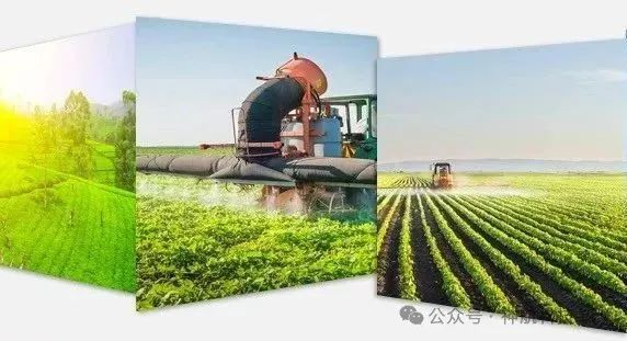 广西富硒产品地方标准(广西富硒产品有哪些)-硒宝网