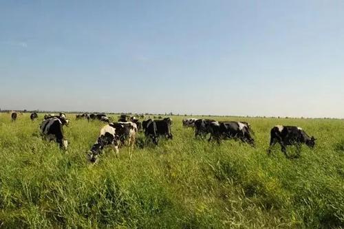 山西富硒产品如何认证(山西认证富硒产品的公司)-硒宝网