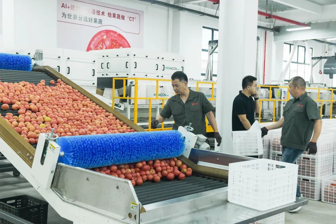 于都富硒脐橙特色产品(江西于都富硒)-硒宝网