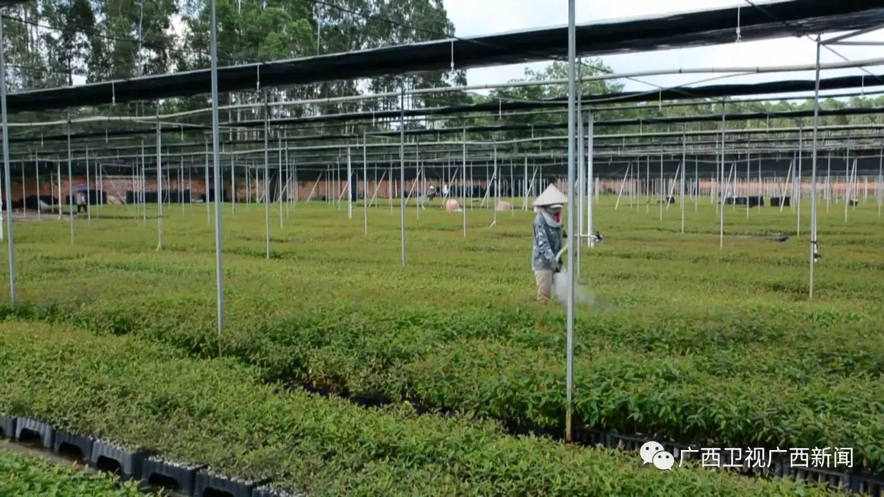 广西富硒产品生产企业(广西生产富硒企业产品名单)-硒宝网