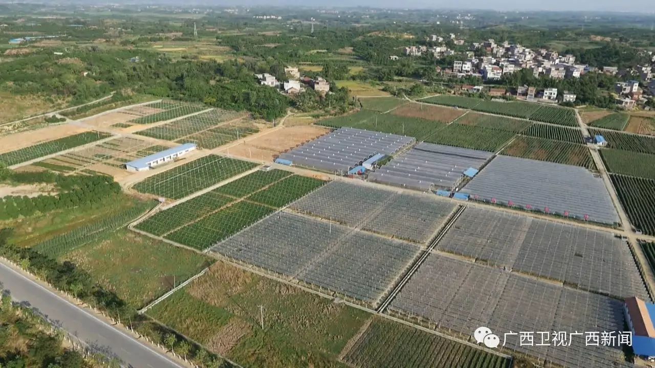 广西富硒产品生产企业(广西生产富硒企业产品名单)-硒宝网