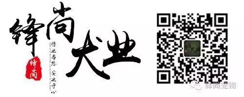 狗狗微量元素的作用和功能（狗狗微量元素吃什么补得快）-硒宝网