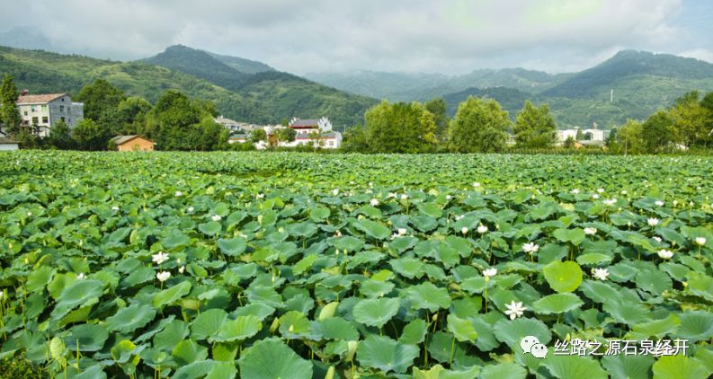 富硒产品特色小镇项目（富硒小镇是什么意思）-硒宝网