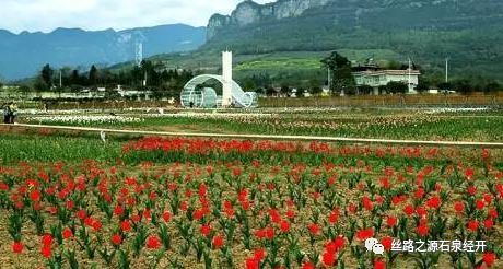 富硒产品特色小镇项目（富硒小镇是什么意思）-硒宝网