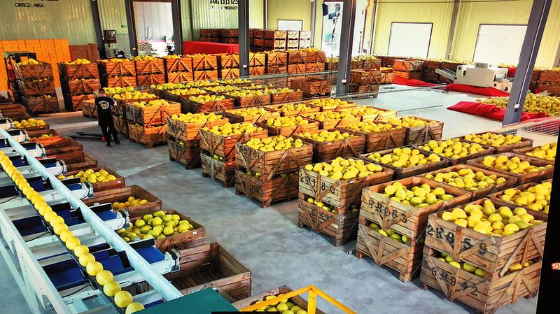 横县 富硒 产品认证（富硒产品认证的要求）-硒宝网