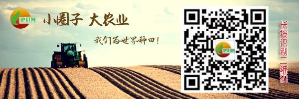 微量元素20项要多少钱(微量元素全套检查多少项)-硒宝网