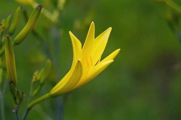 富硒产品收益分析报告(富硒投资返利是真的吗)-硒宝网