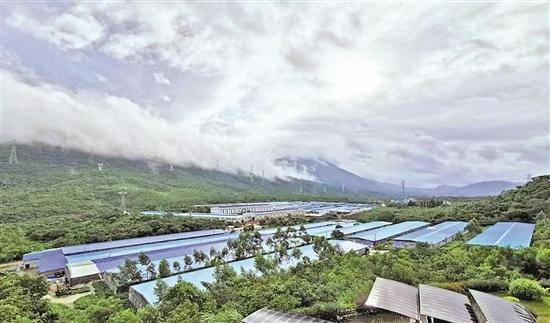 农民种植富硒产品热情(种植农民热情富硒产品有哪些)-硒宝网