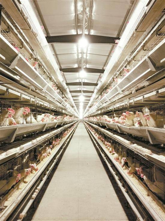 农民种植富硒产品热情(种植农民热情富硒产品有哪些)-硒宝网