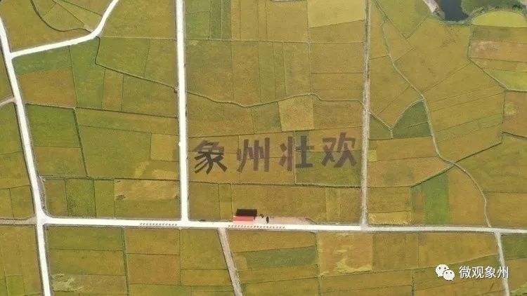 富硒产品直播怎么介绍（直播富硒介绍产品是真的吗）-硒宝网