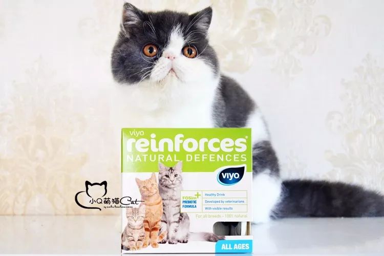 猫咪补充微量元素吃什么(猫咪微量补充元素吃什么食物)-硒宝网