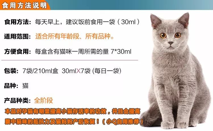猫咪补充微量元素吃什么(猫咪微量补充元素吃什么食物)-硒宝网