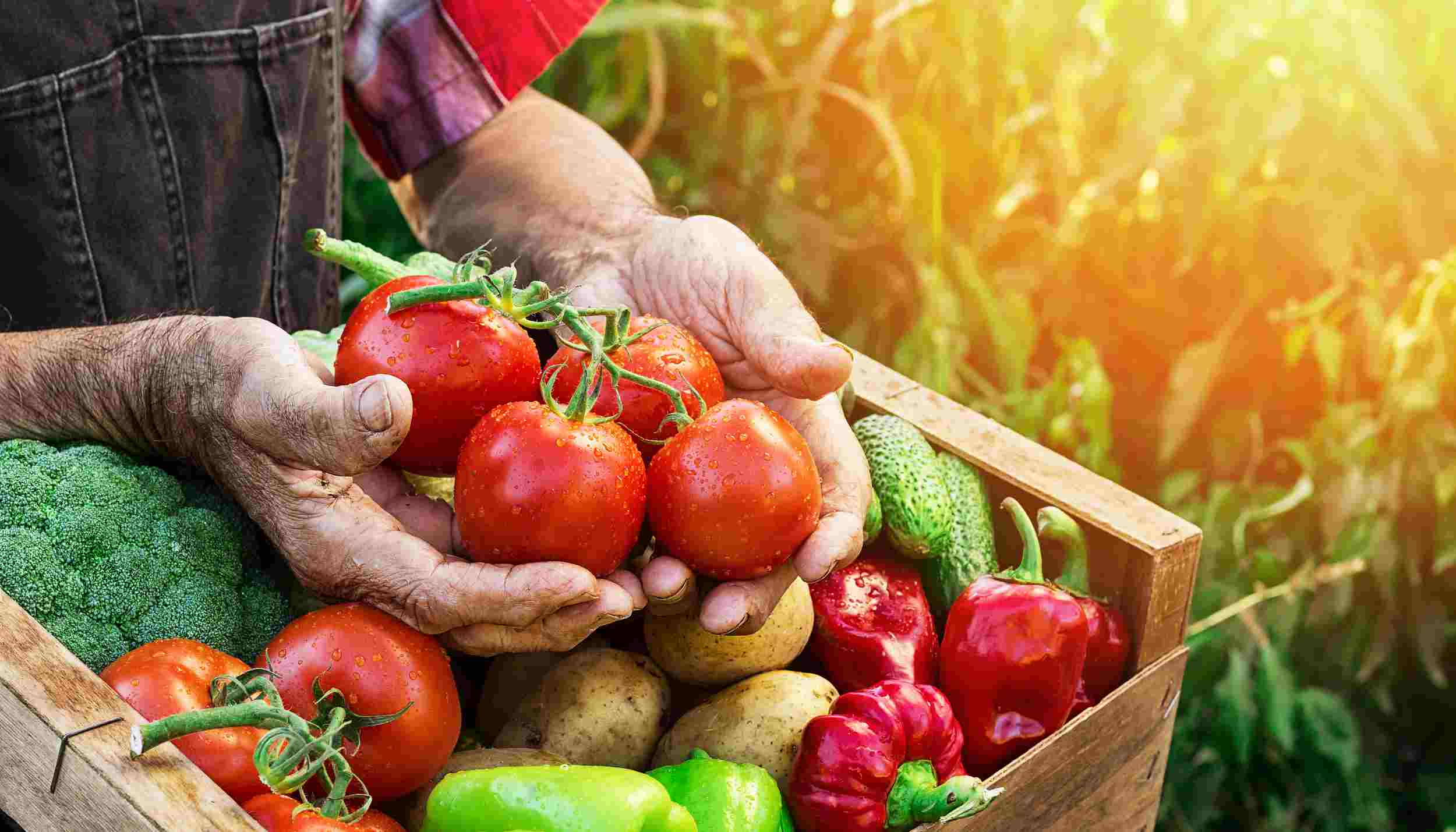 富硒产品品牌营销方案(营销方案富硒品牌产品怎么写)-硒宝网