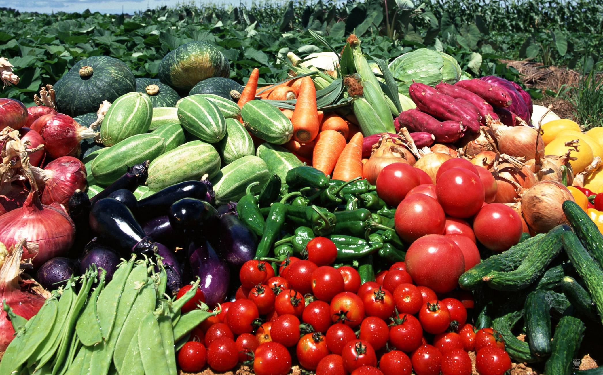 富硒产品品牌营销方案(营销方案富硒品牌产品怎么写)-硒宝网