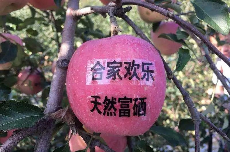 国家水果富硒产品标准（水果标准富硒国家产品是什么）-硒宝网