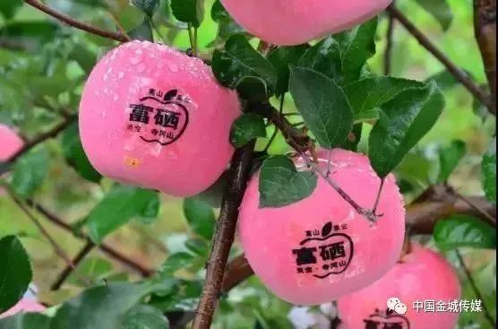 国家水果富硒产品标准（水果标准富硒国家产品是什么）-硒宝网