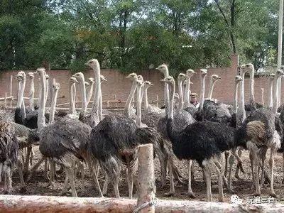 有硒更健康富硒农产品（富硒健康食品）-硒宝网