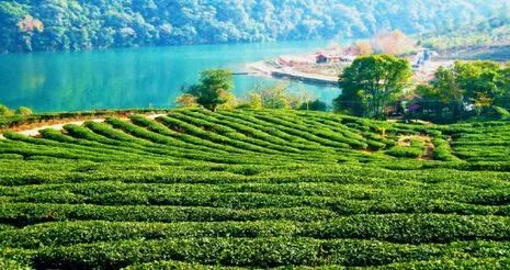 安康富硒产品标志征集（安康征集标志富硒产品有哪些）-硒宝网