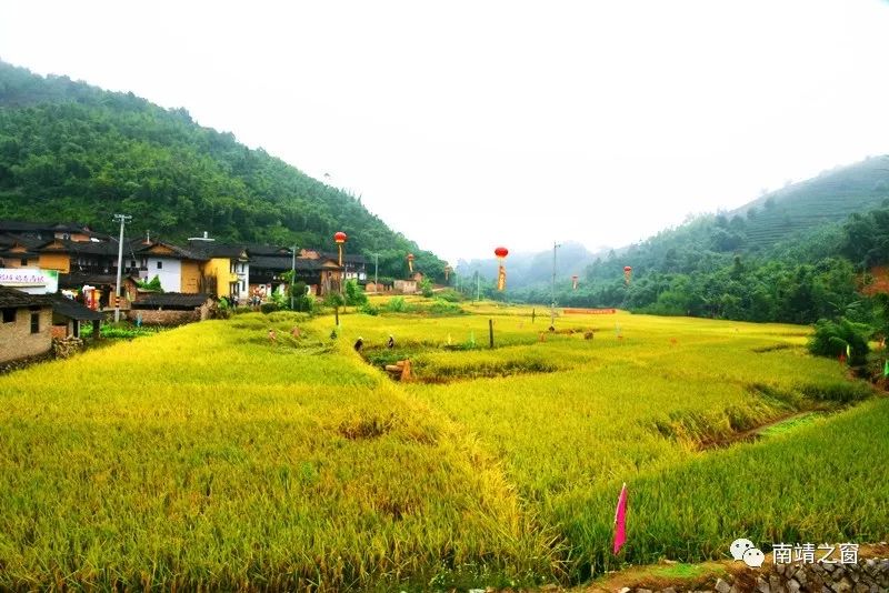 有硒更健康富硒农产品(中农健康硒的功效)-硒宝网