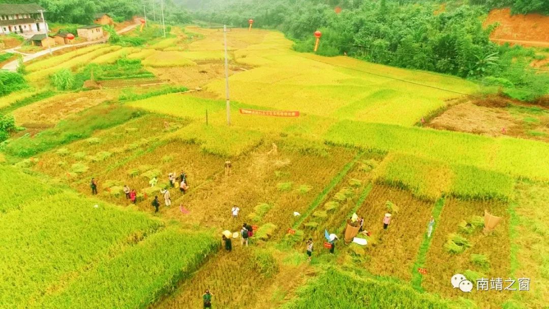 有硒更健康富硒农产品(中农健康硒的功效)-硒宝网
