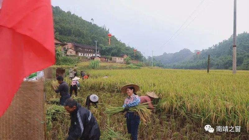 有硒更健康富硒农产品(中农健康硒的功效)-硒宝网
