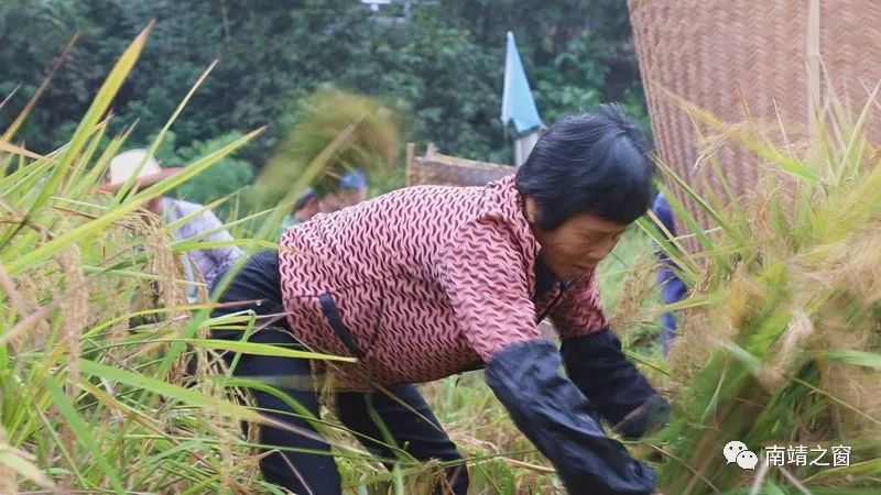 有硒更健康富硒农产品(中农健康硒的功效)-硒宝网