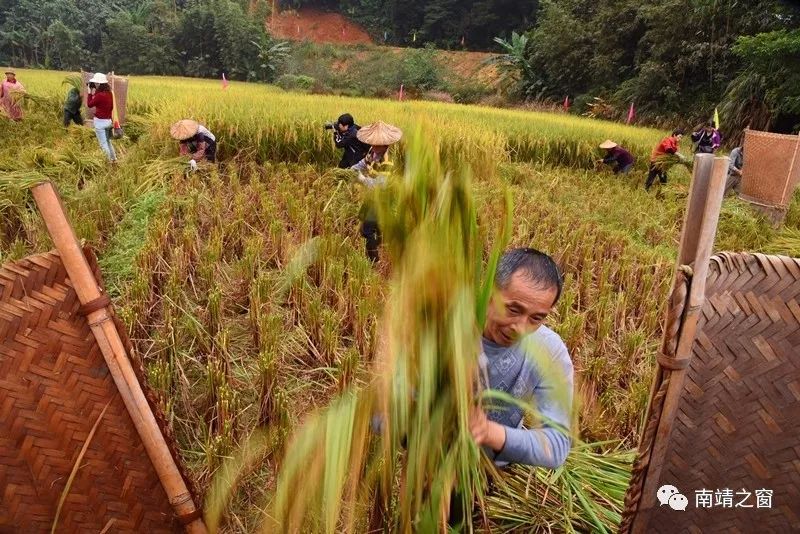 有硒更健康富硒农产品(中农健康硒的功效)-硒宝网
