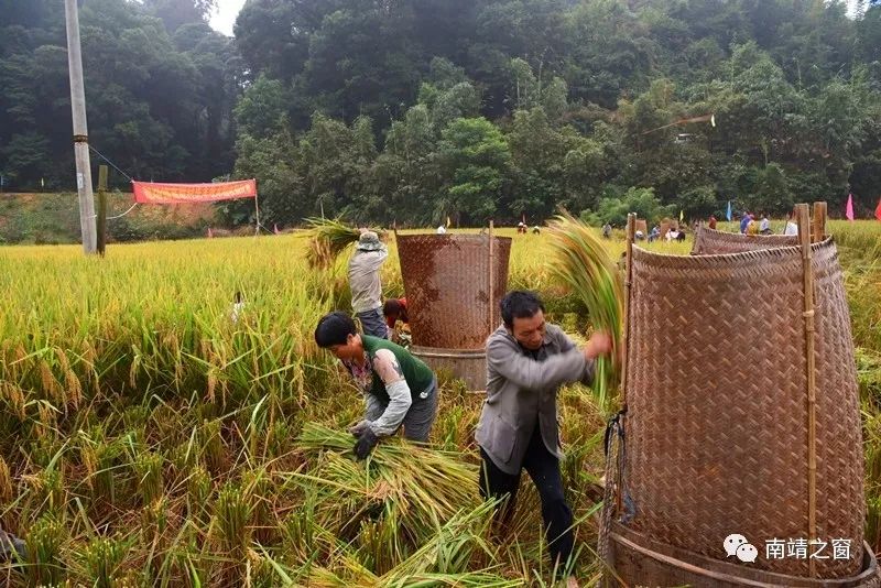 有硒更健康富硒农产品(中农健康硒的功效)-硒宝网
