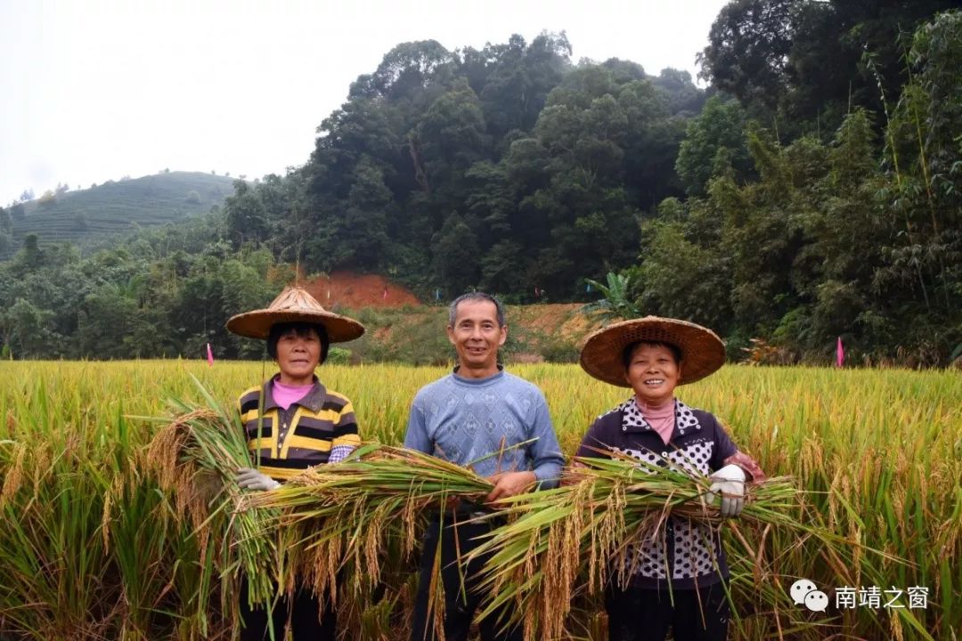有硒更健康富硒农产品(中农健康硒的功效)-硒宝网